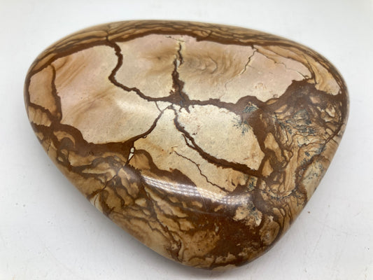 Picture Jasper